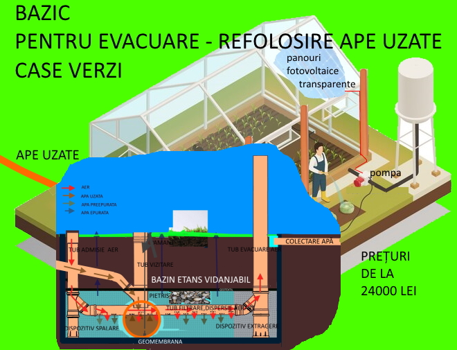 BAZIC Sere COMPLET.jpg